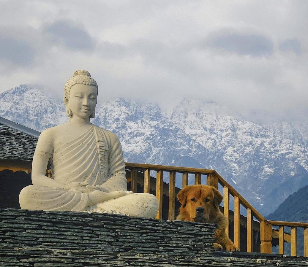 Osho Himalayas Wellness Resort Kangra Zewnętrze zdjęcie